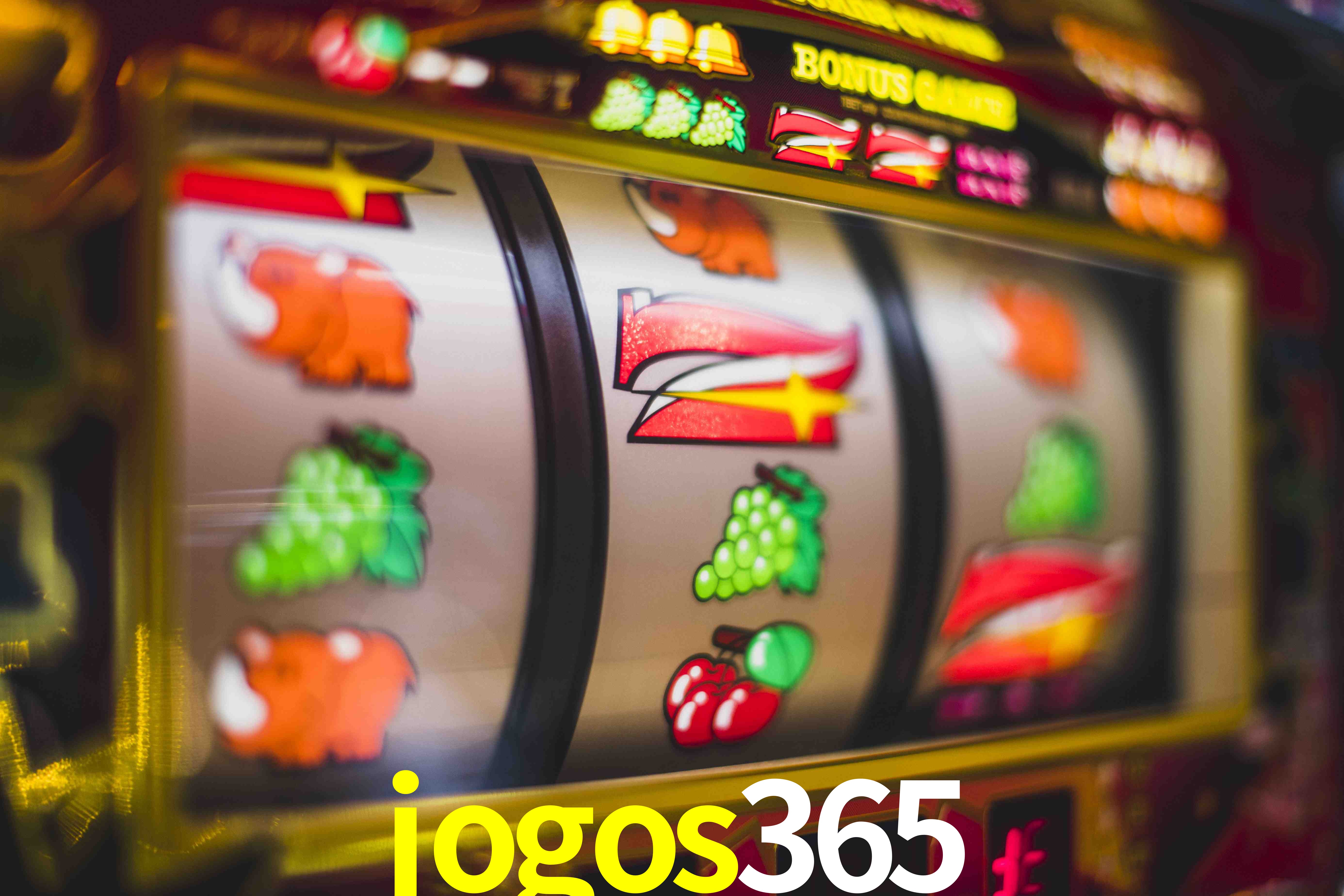 Sports Statistics jogos365